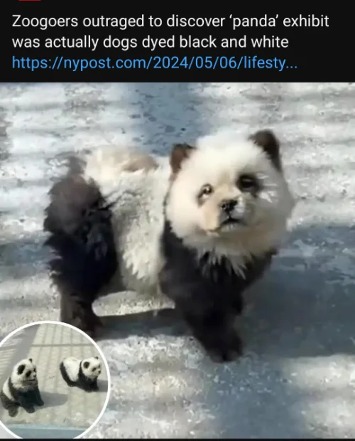 Screenshot_20240507_083259_YouTube.webp