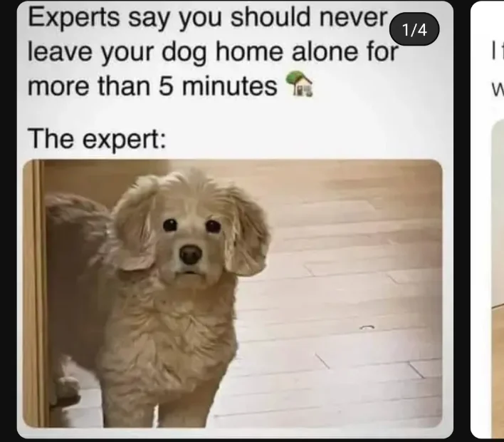 Screenshot_20241229_074455_YouTube.webp