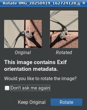 Screenshot_2025-04-19_21-10-58.png