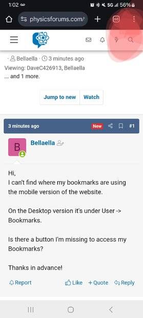 Screenshot_20250329_130212_Chrome~2.jpg