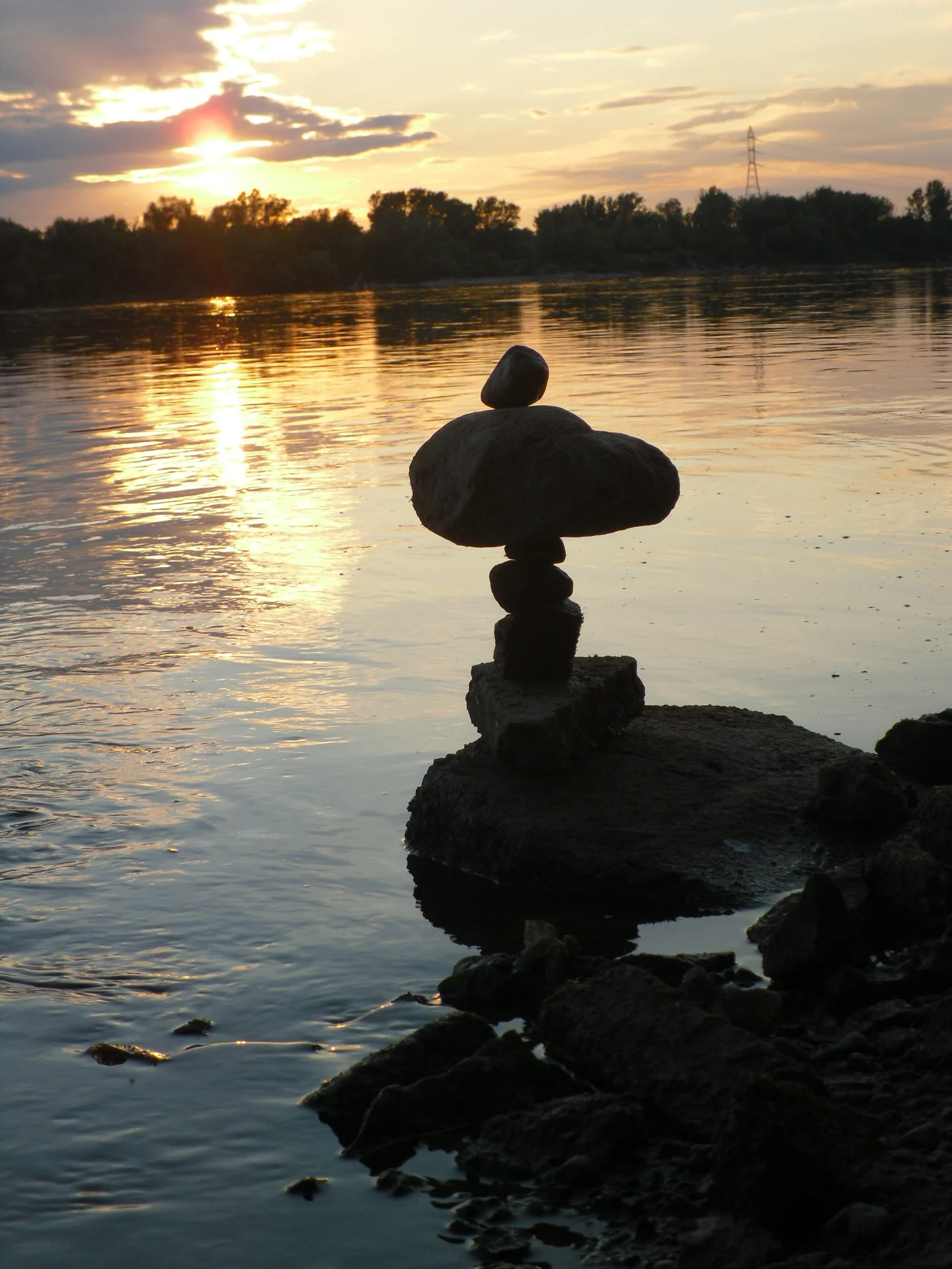 SDC17369.webp