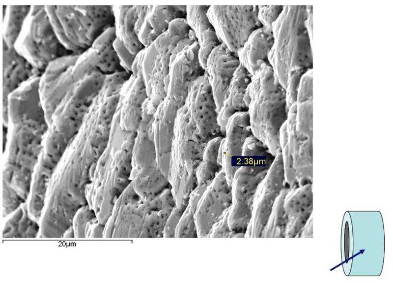 SEM Images of Copper Coating on Ceramics1.jpg