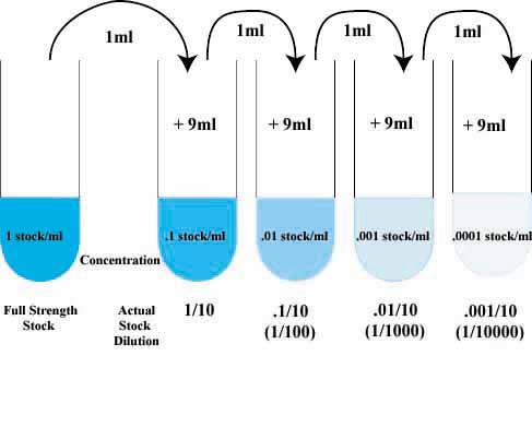 serial%20dilution.jpg
