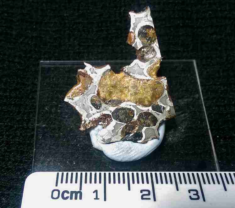 Sericho Pallasite - Kenya - #026 sm.jpg