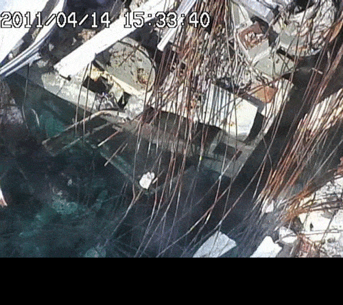 SFP_April14_craneIn.gif