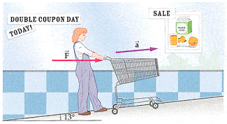 Shopping Cart Question.gif