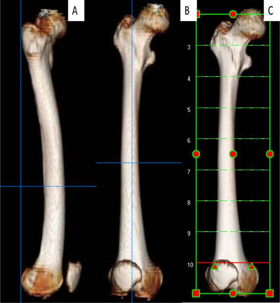 sicotj150120-fig1.jpg