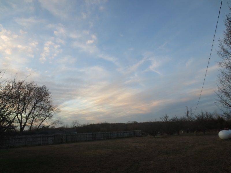 small IMG_3720.jpg