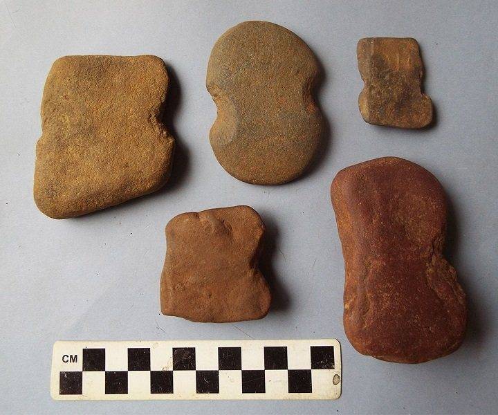 small NetSinkers-Figure1.jpg