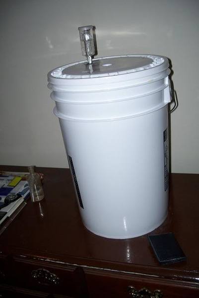 small5.jpg