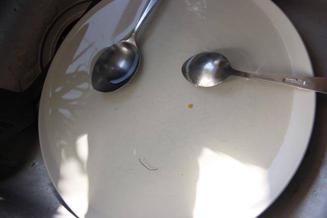 smile_in_sink.jpg