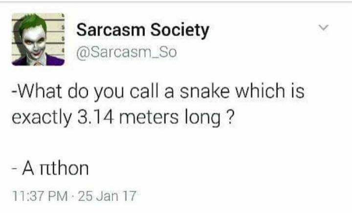 snake 3.14m long.jpg