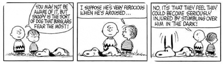 snoopy3.gif