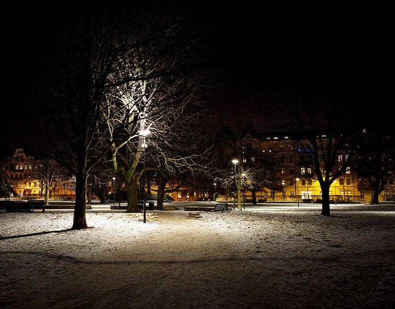 Snow in park.jpg