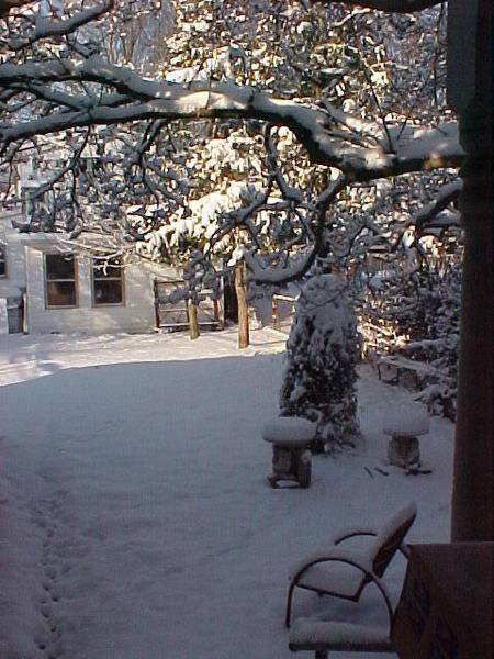 snow.jpg