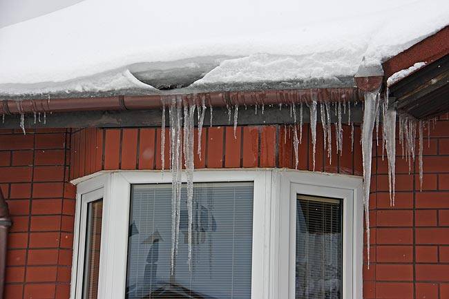 snow_2010_5.jpg