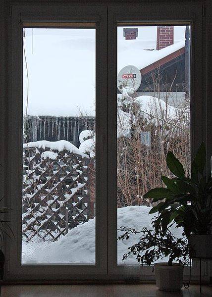 snow_2010_6.jpg