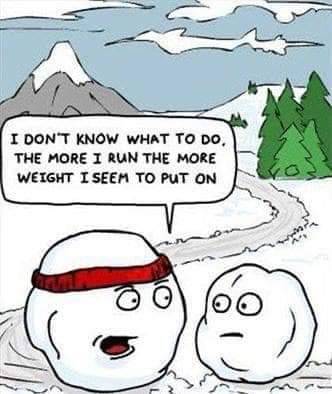 snowball putting on weight.jpg
