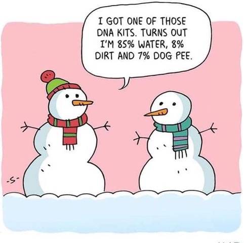 Snowman DNA.jpeg