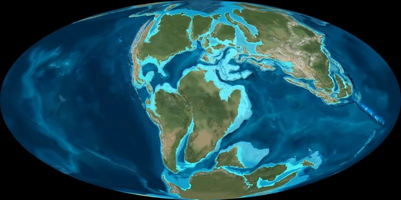 The Cretaceous Period (146-65 million years ago) - The Australian Museum
