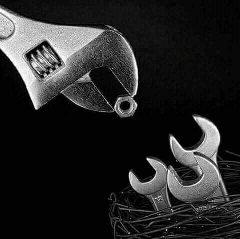 spanner-food-jpg.jpg