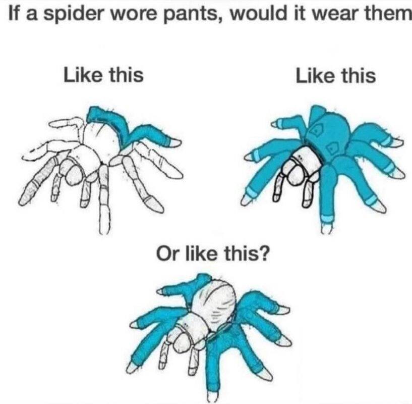 spider pants.jpg