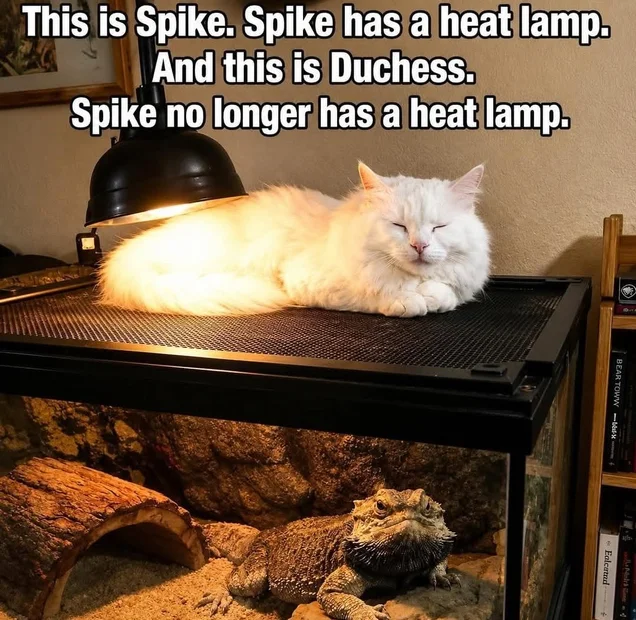 Spike.webp