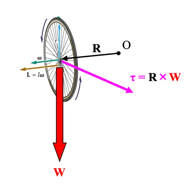 Spinning Wheel B.webp
