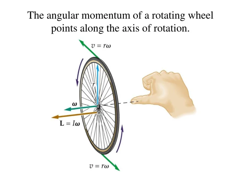Spinning Wheel.webp