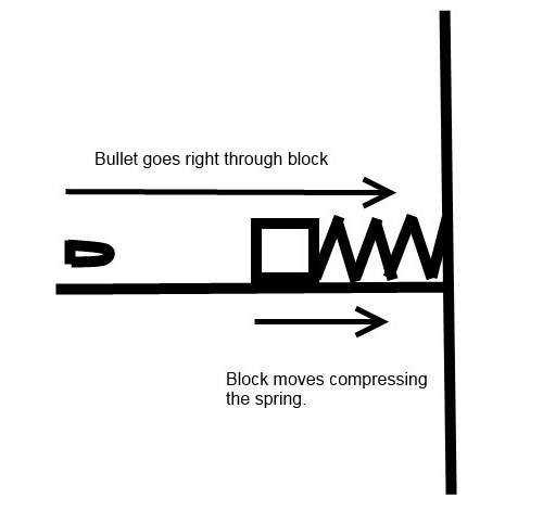 spring.jpg