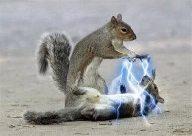 squirelsithlightning.jpg