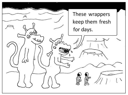 Sta-Fresh wrapper.jpeg