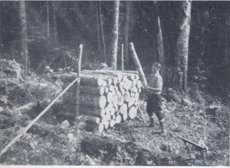 stacking-pulpwood.webp