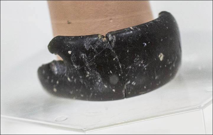 standard_denisovan_bracelet.jpg