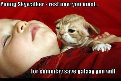 STAR+WARS+YODA-CAT.jpg