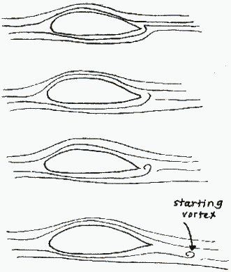 Starting vortex - MIT.gif