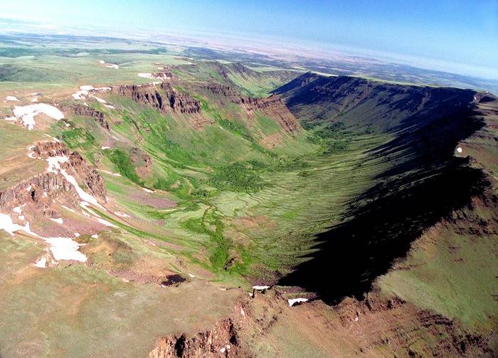 steens-kiger.jpg