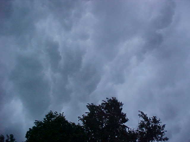 storm1.jpg
