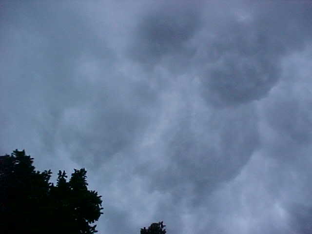 storm2.jpg