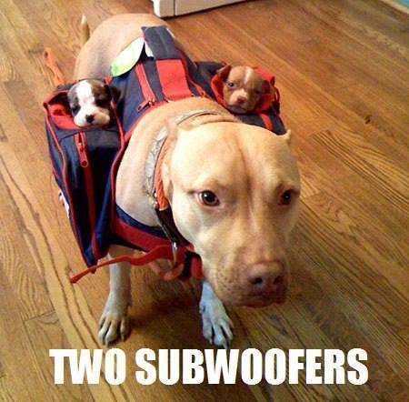 sub-woofers.jpg