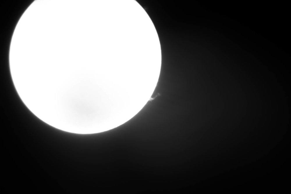 sun on coronado-8.jpg
