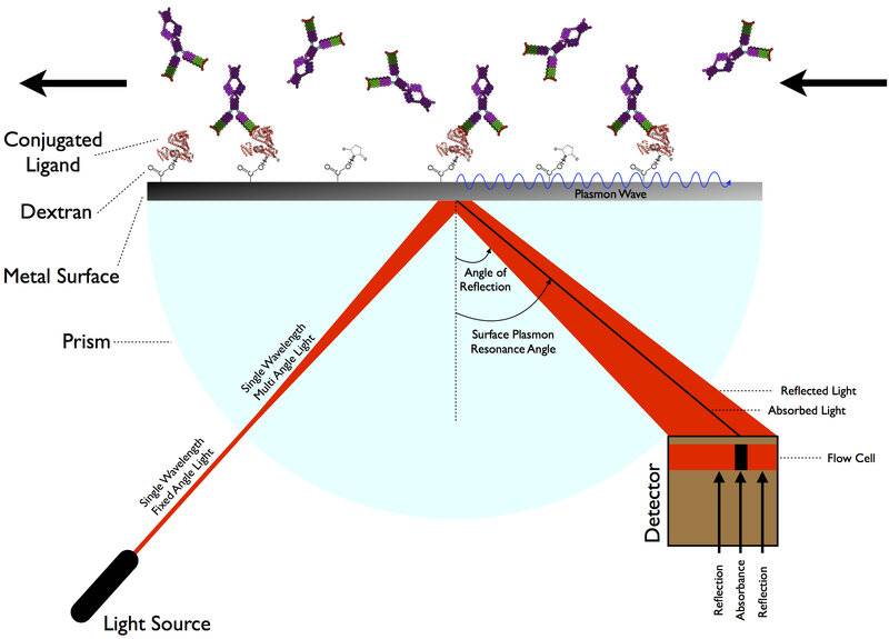 Surface_Plasmon_Resonance_(SPR).jpg