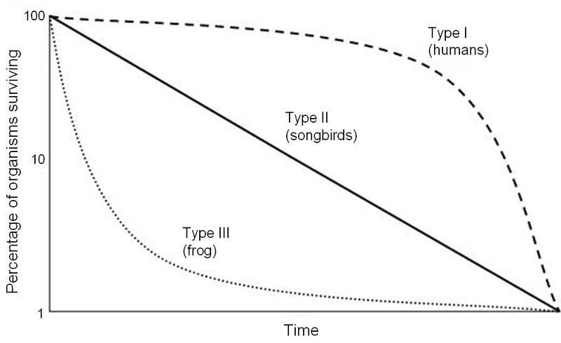 Survivorship_Curves.jpg