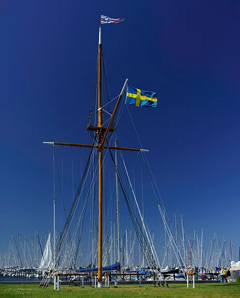 Swedish flag.webp