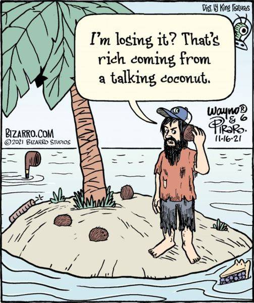 Talking coconut.jpg