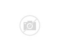 th?id=JN.TIRr5b0SBRhiW4%2bCzpBBww&w=193&h=164&c=7&rs=1&qlt=90&o=4&pid=1.1.jpg
