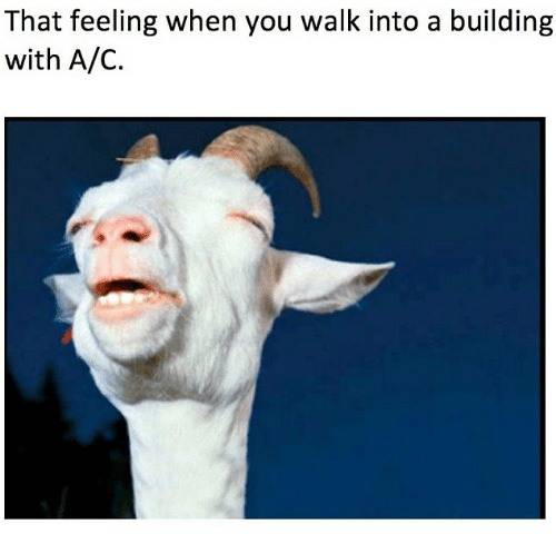 that-feeling-when-you-walk-into-a-building-with-a-c.jpg