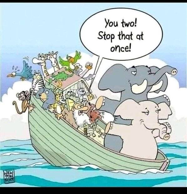 The ark.jpg