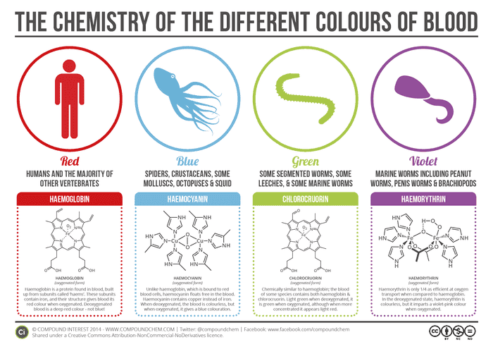 The-Chemistry-of-Blood-Colours-v2.png