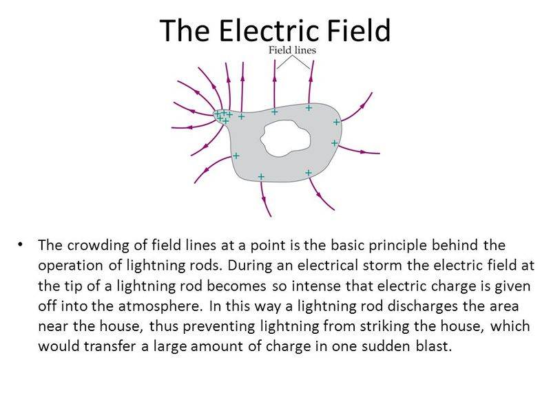 The+Electric+Field.jpg
